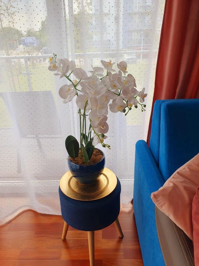 Apartament Comfort I Kolobrzeg Kołobrzeg Exterior foto